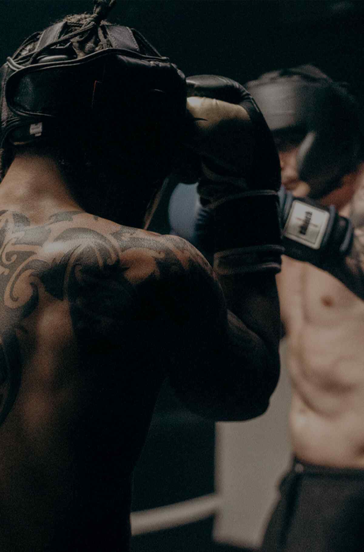 inner_image_07 https://atletike.com.br/wp-content/uploads/2022/10/inner_image_07.jpg